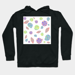 Colorful Sea Shells Hoodie